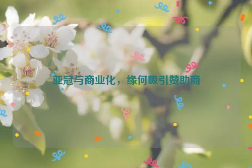 亚冠与商业化，缘何吸引赞助商