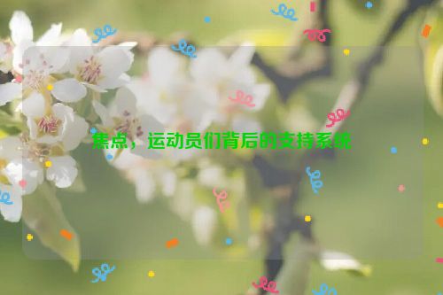 焦点，运动员们背后的支持系统