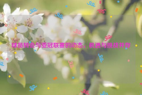 球员转会与亚冠联赛的动态，机遇与挑战并存