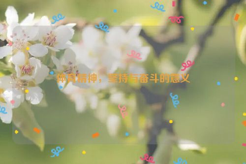 体育精神，坚持与奋斗的意义